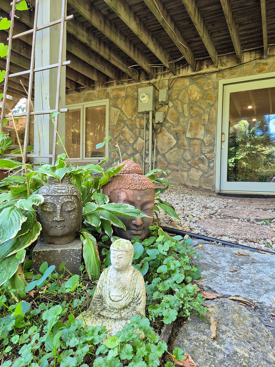 Furnished Finder property 1045313_1 photo 23