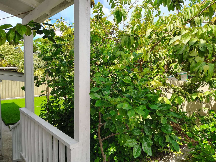 Furnished Finder property 1045450_1 photo 13