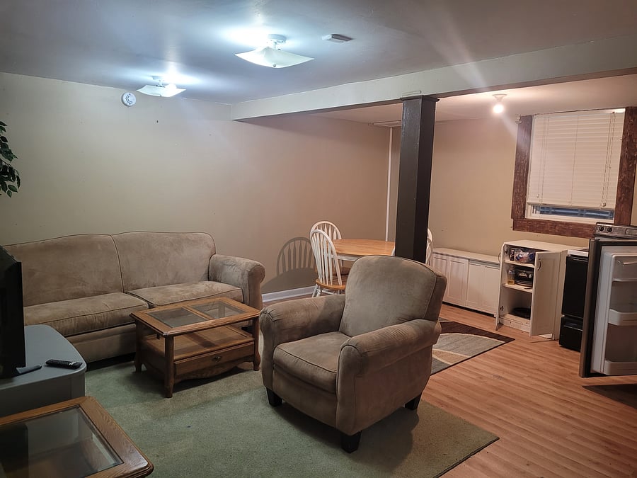 Basement living room
