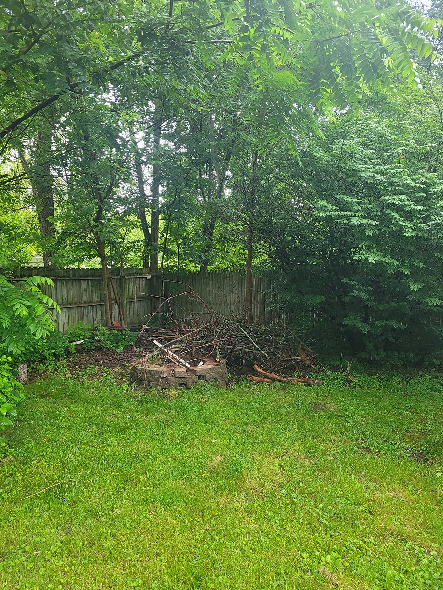 Fire pit