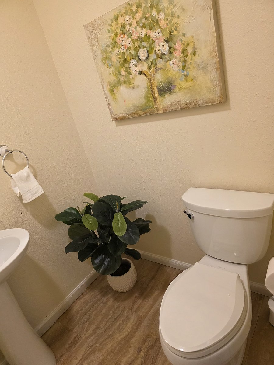 Furnished Finder property 1045523_1 photo 13