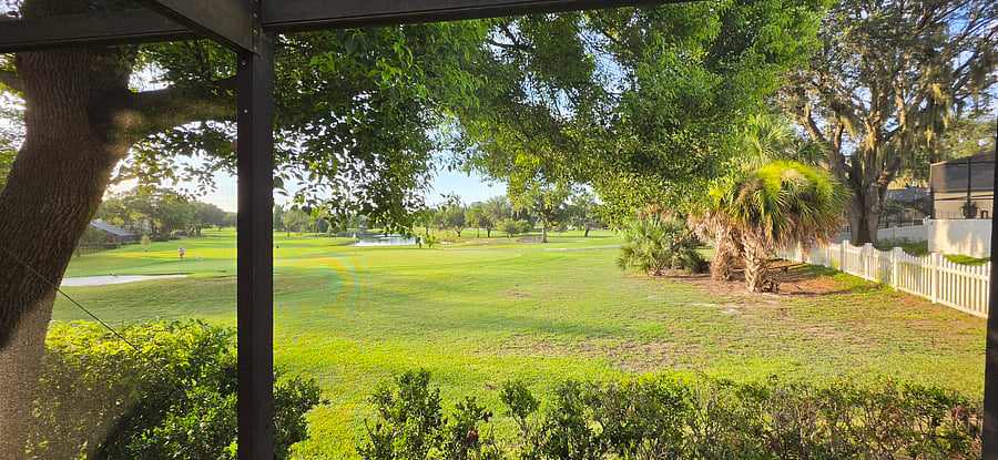 Furnished Finder property 1045738_1 photo 12
