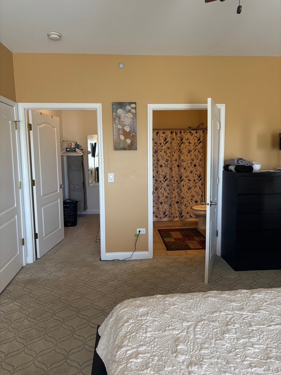 Furnished Finder property 1045906_1 photo 7