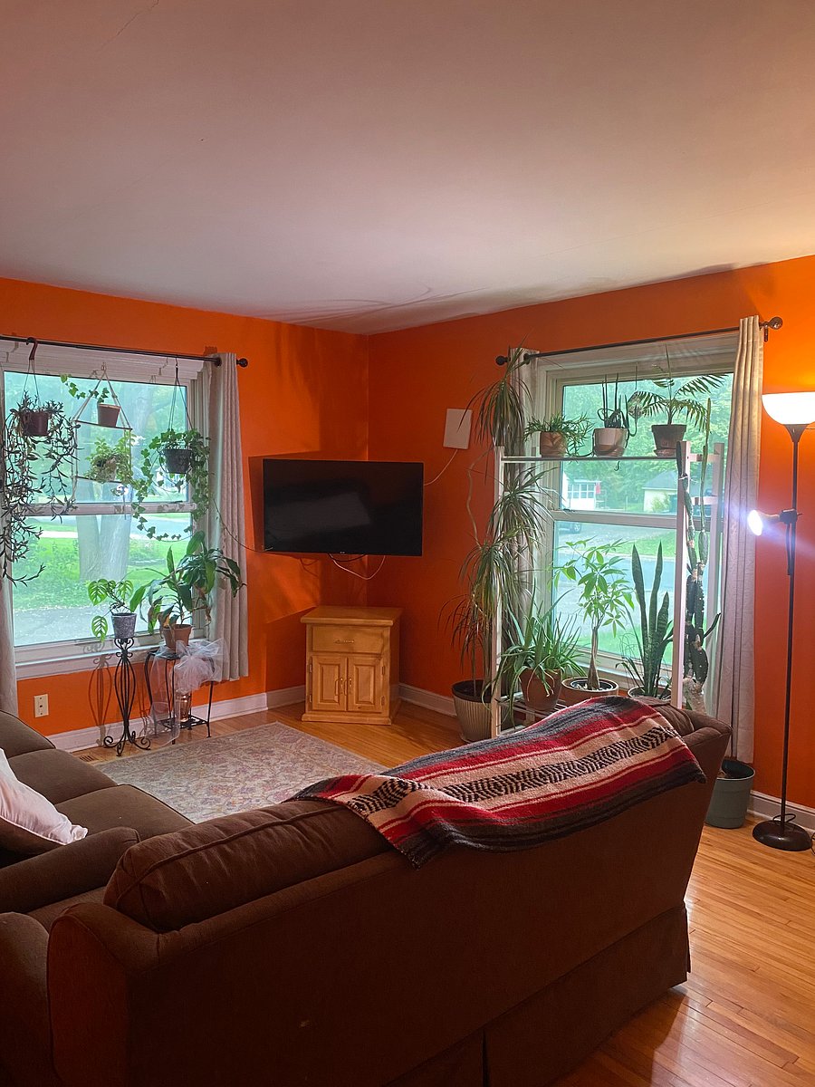 Furnished Finder property 1045946_1 photo 9