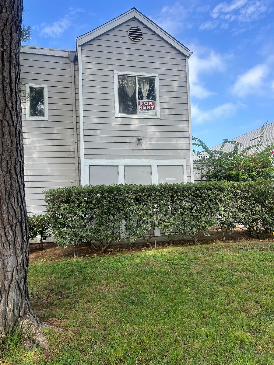 Furnished Finder property 1046012_1 photo 2