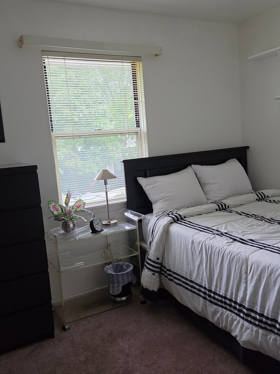 Furnished Finder property 1046050_1 photo 3