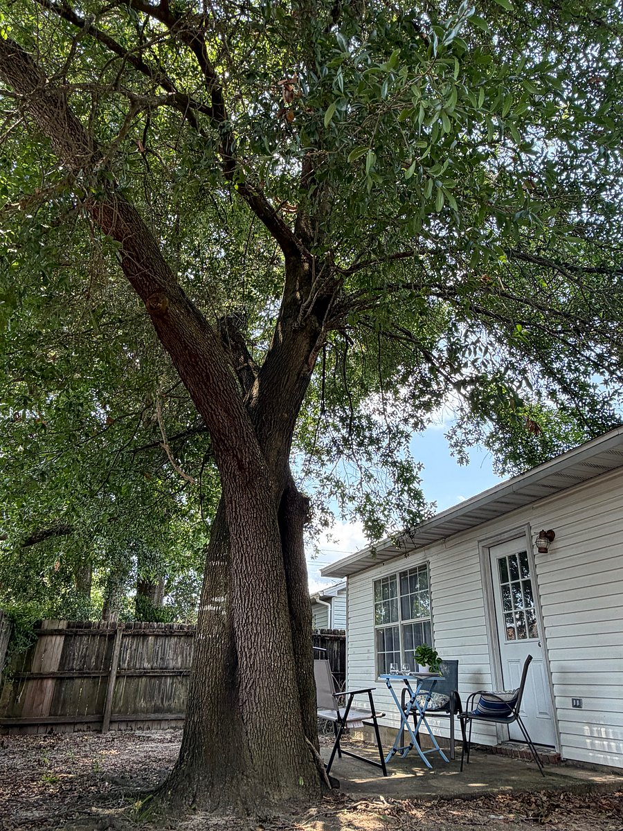 Furnished Finder property 1046122_1 photo 21