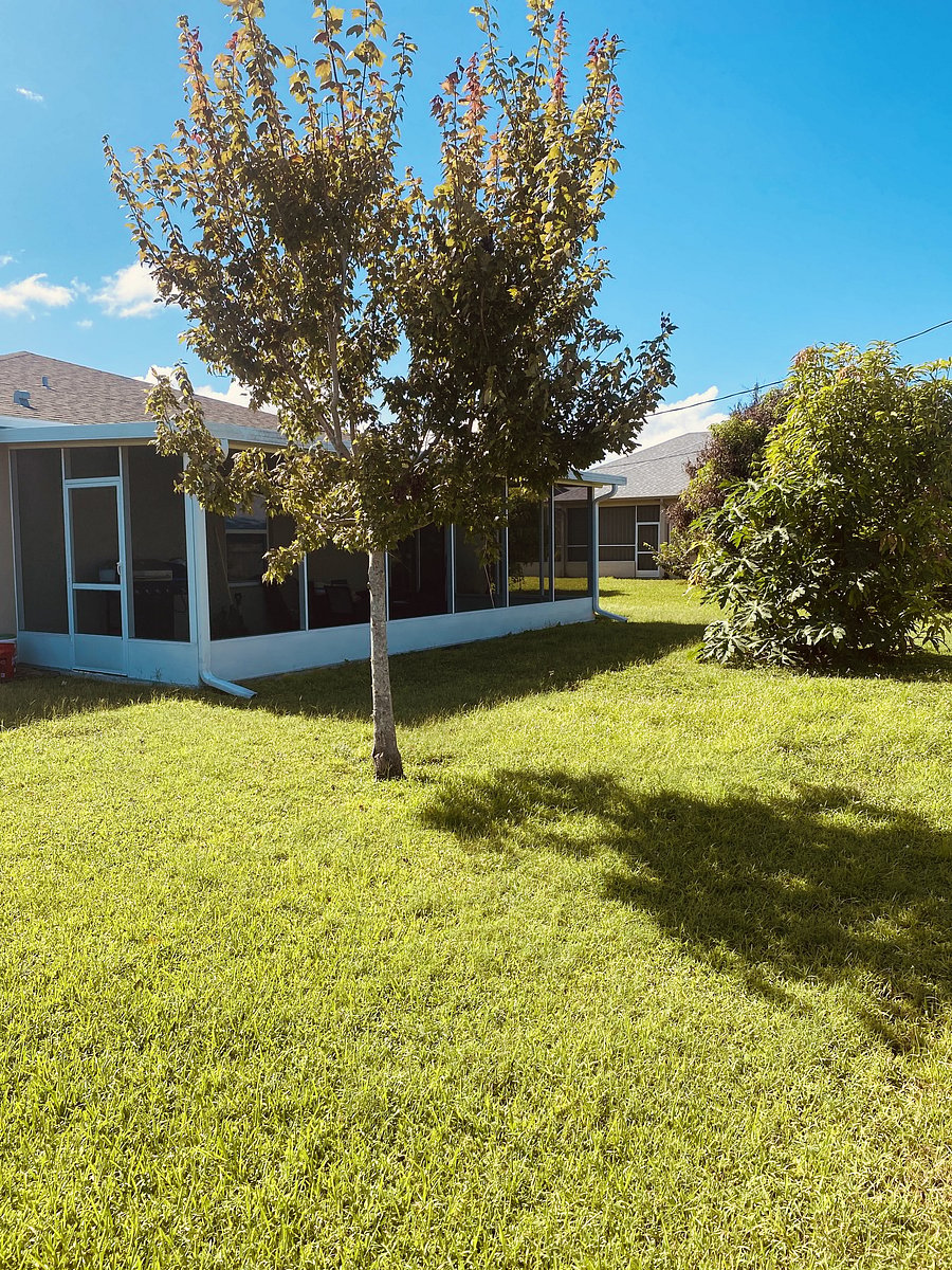 Furnished Finder property 1046138_1 photo 14