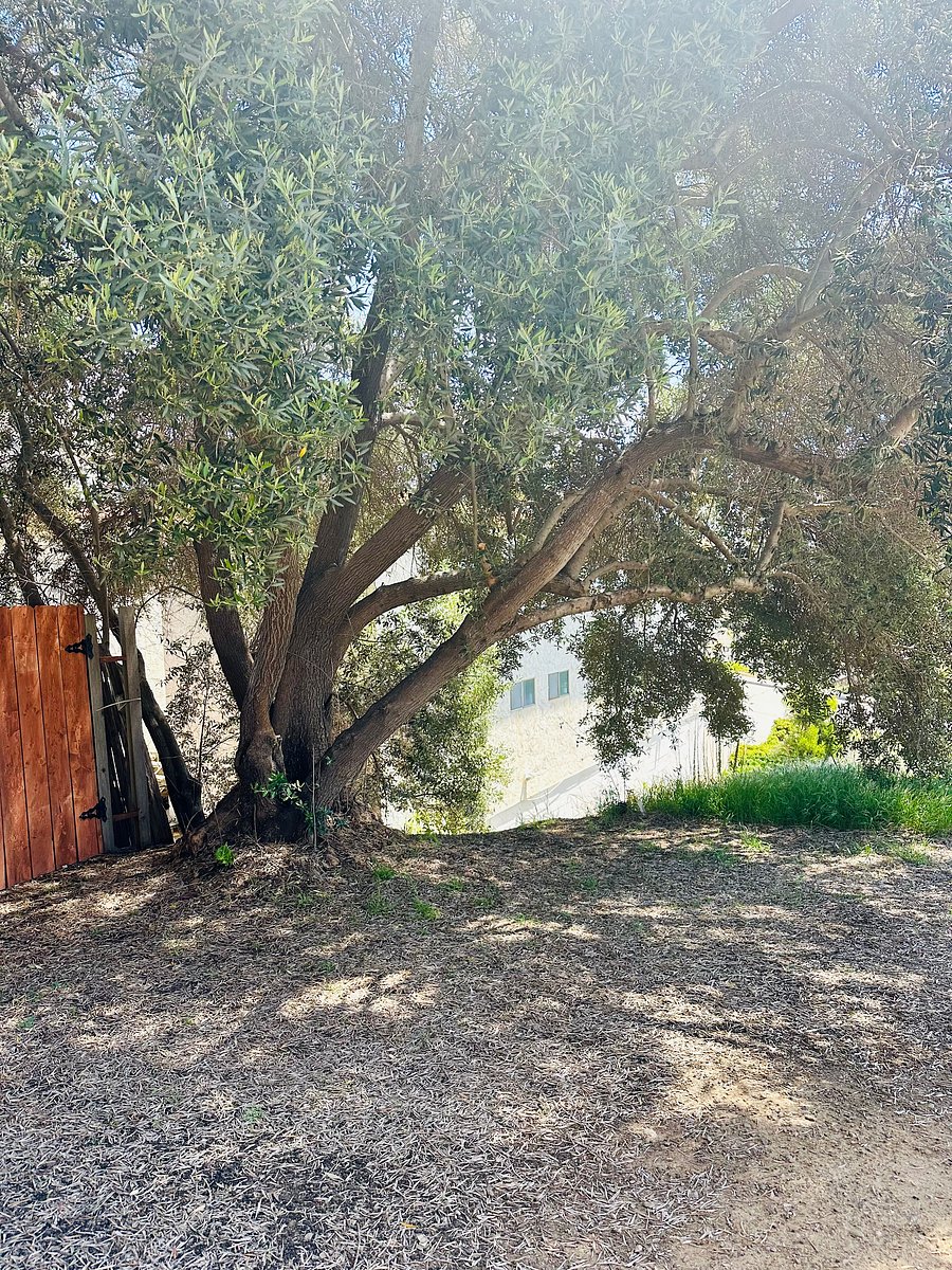 Furnished Finder property 1046539_1 photo 15