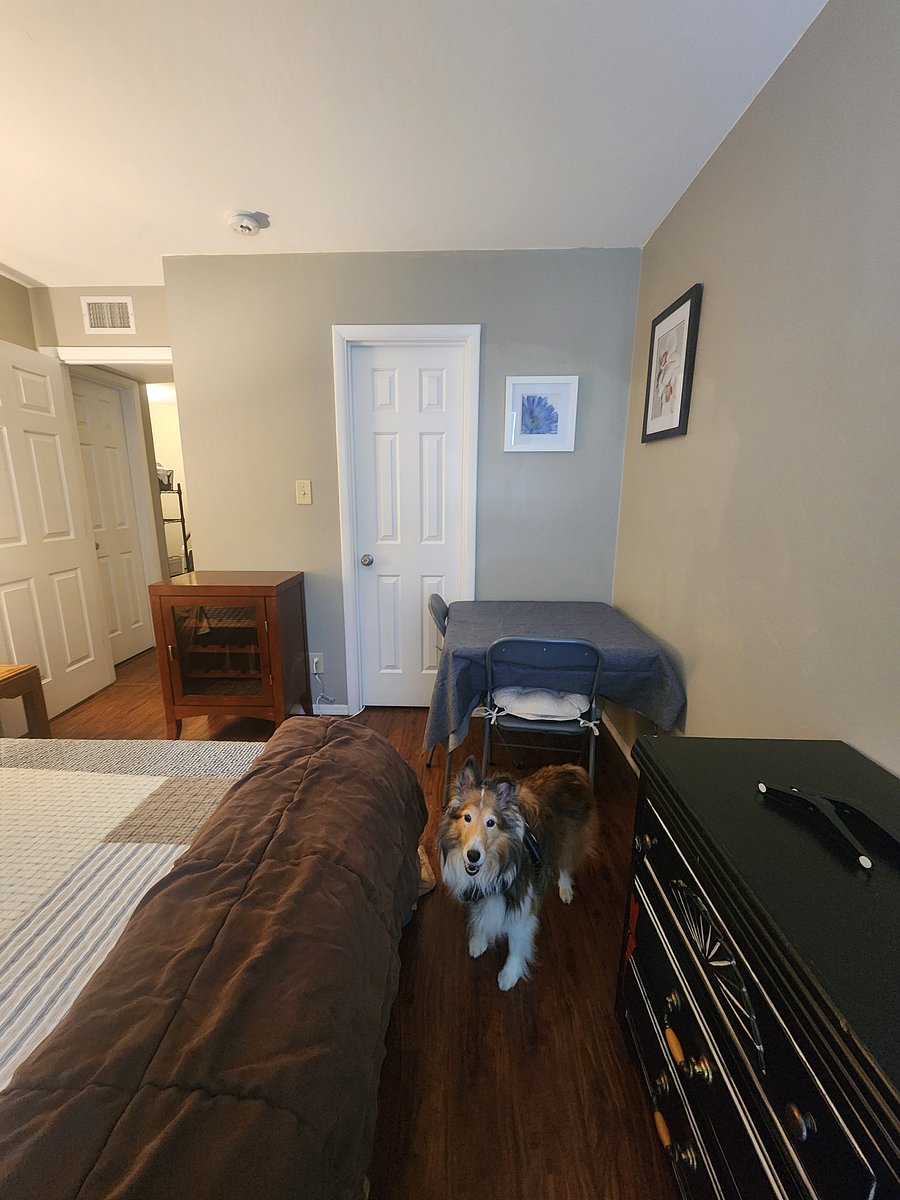 Furnished Finder property 1046547_1 photo 7