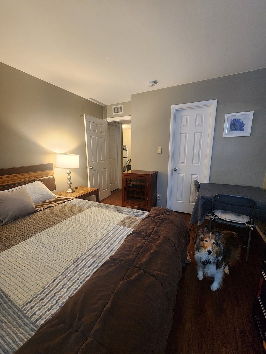 Furnished Finder property 1046547_1 photo 6