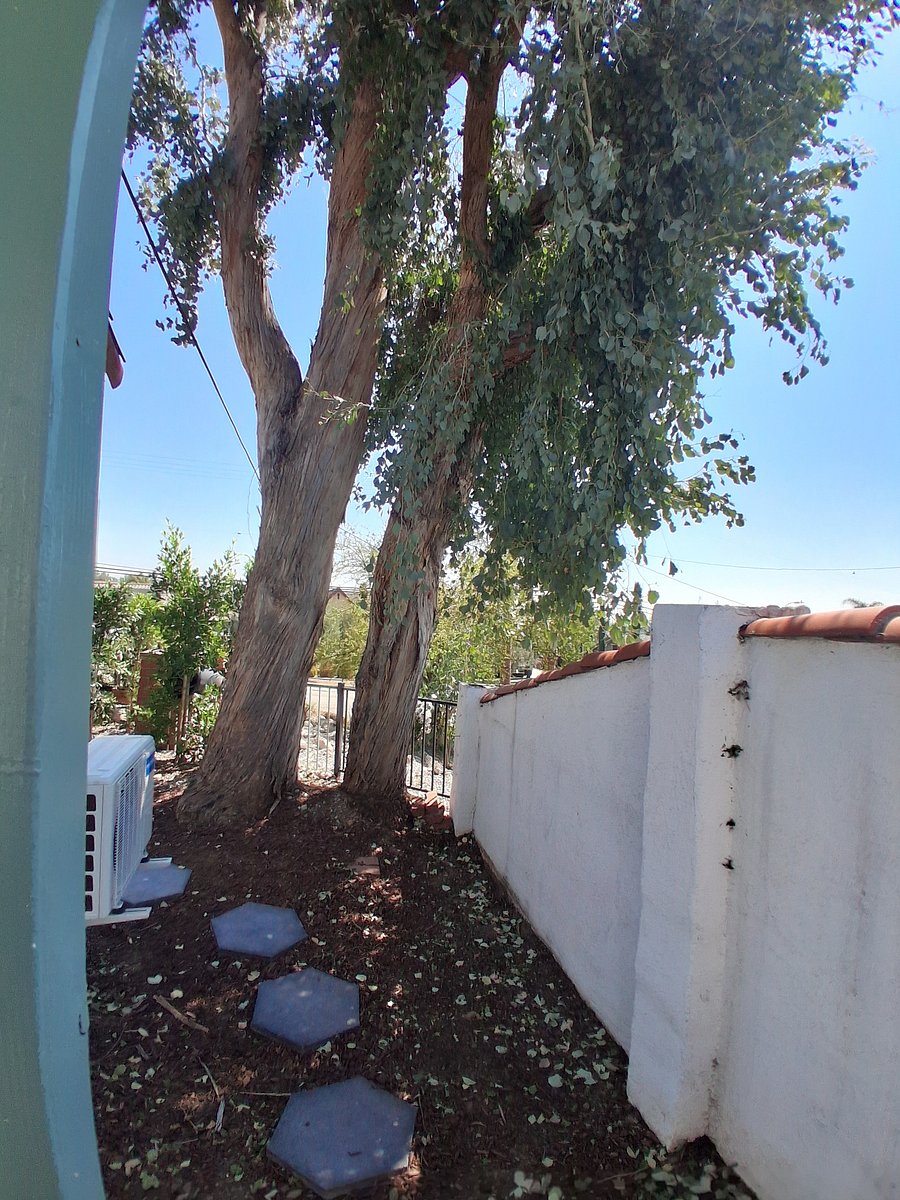 Furnished Finder property 1046554_1 photo 22