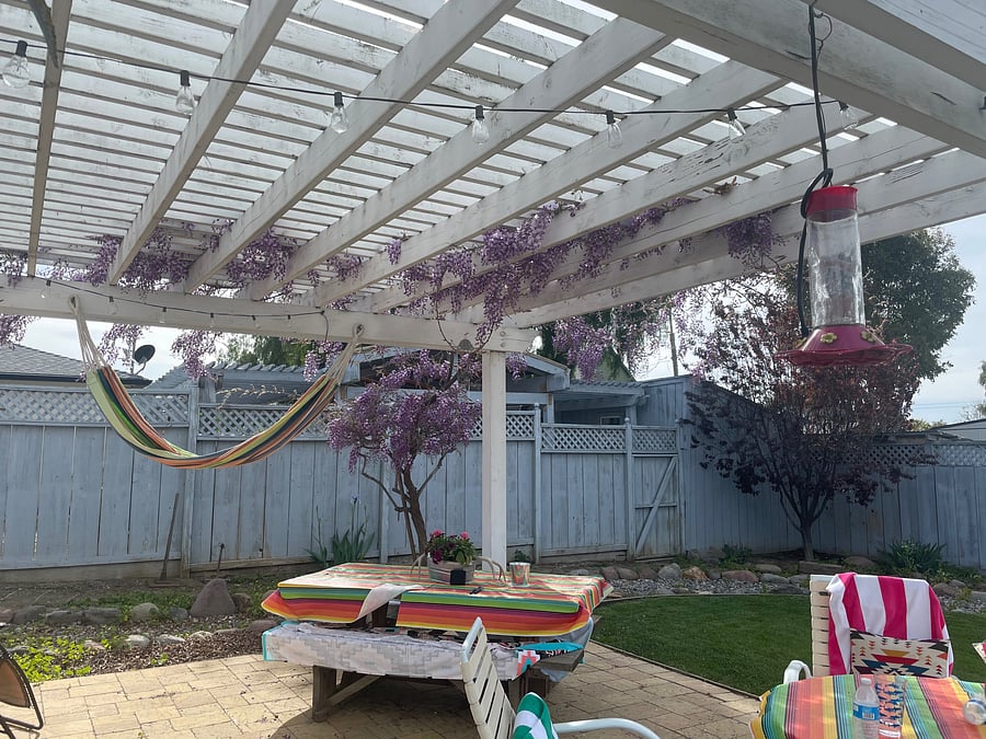 Furnished Finder property 1046681_1 photo 10