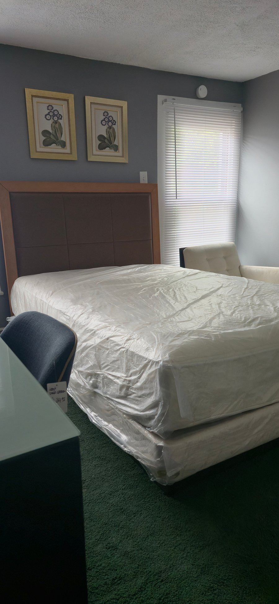 Furnished Finder property 1046708_1 photo 7