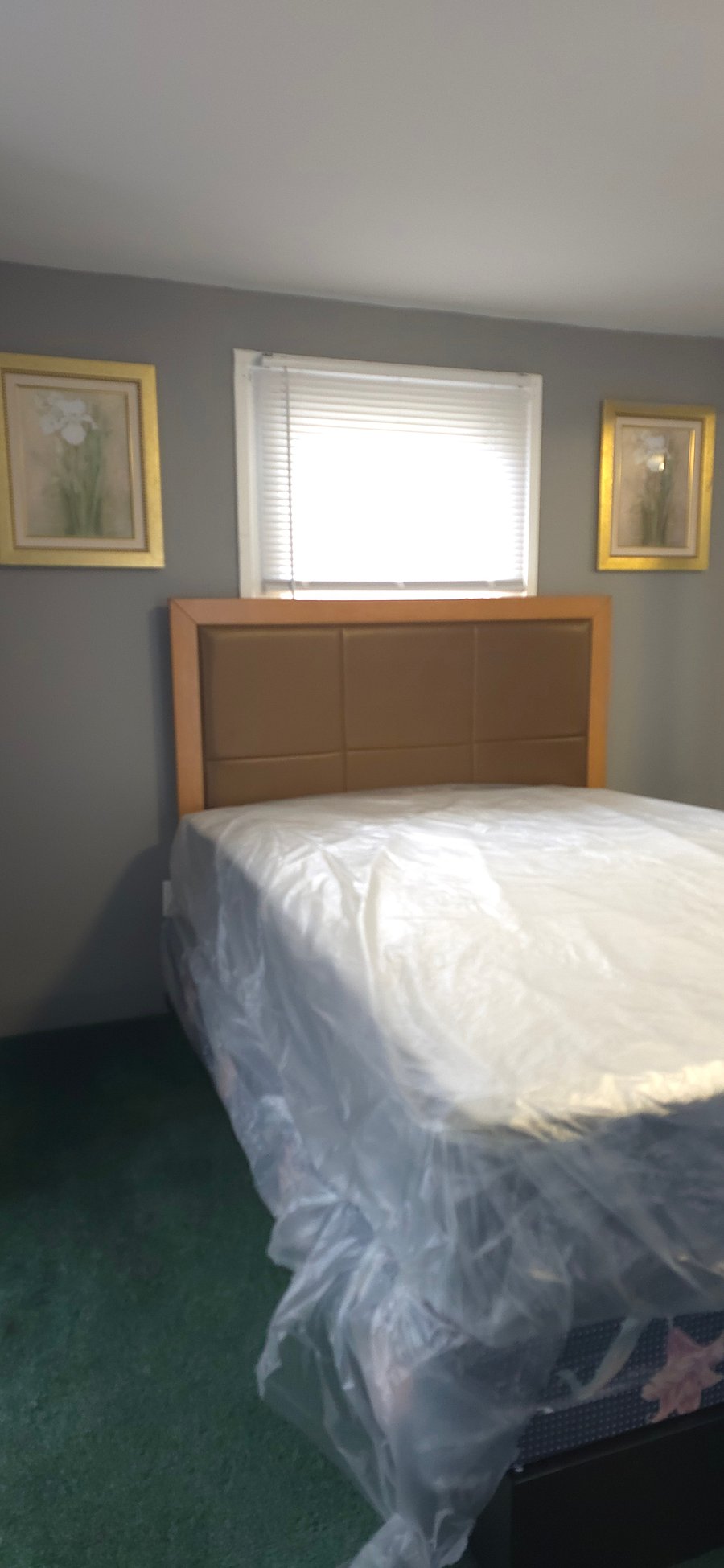 Furnished Finder property 1046708_1 photo 15
