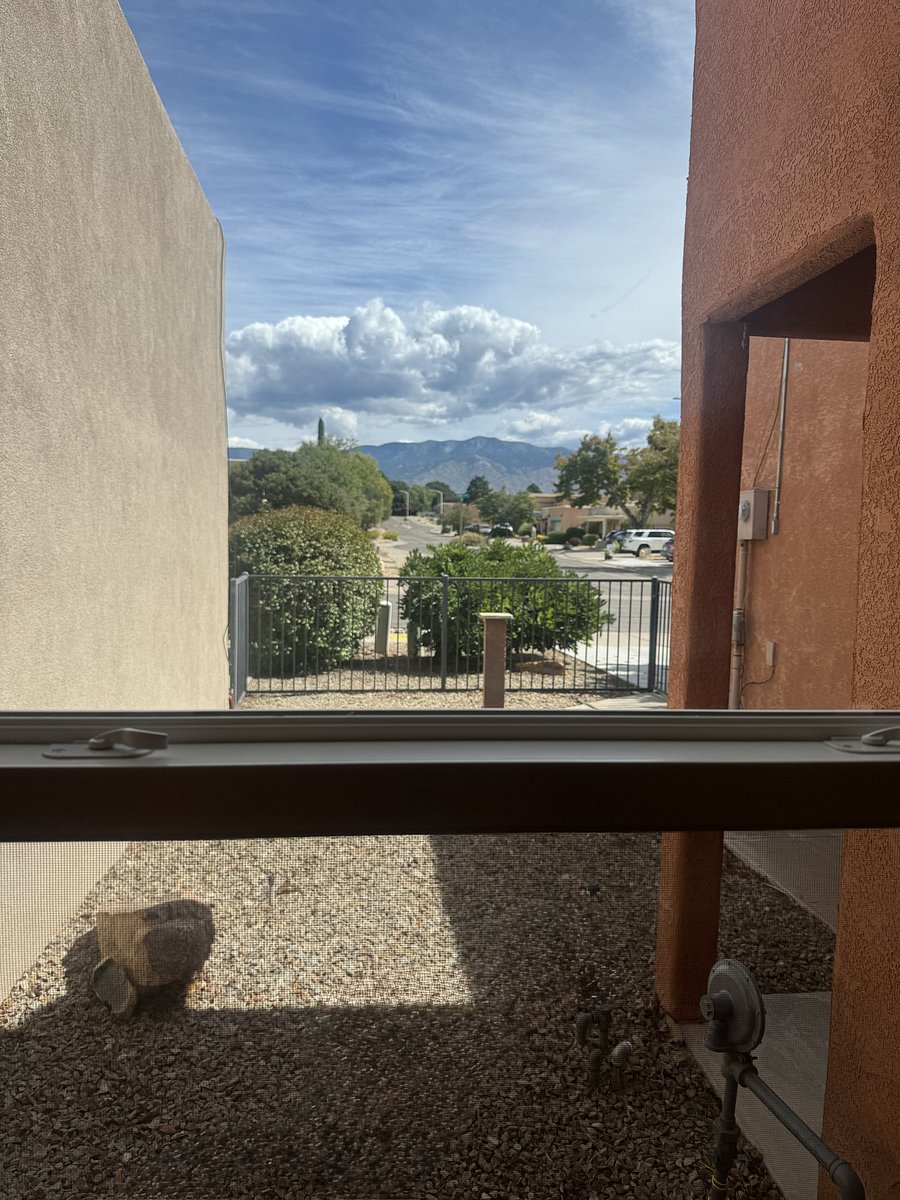 View from your bedroom.