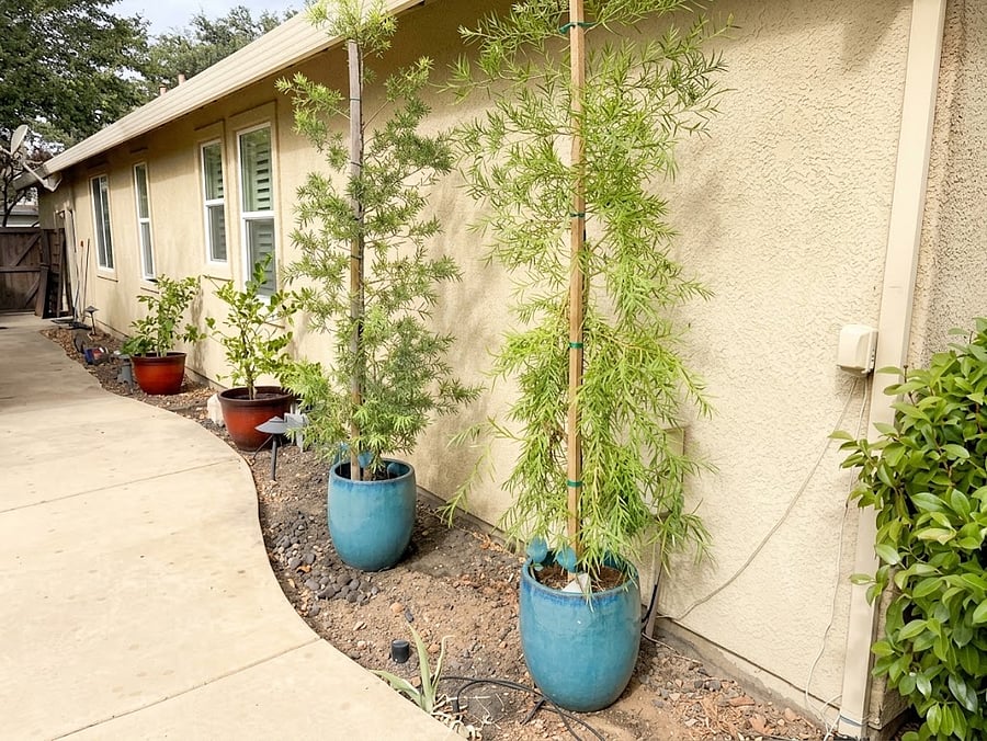 Furnished Finder property 1047147_1 photo 54
