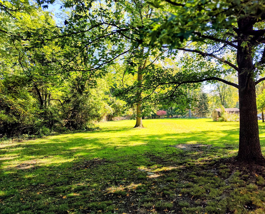 Furnished Finder property 1047181_1 photo 12