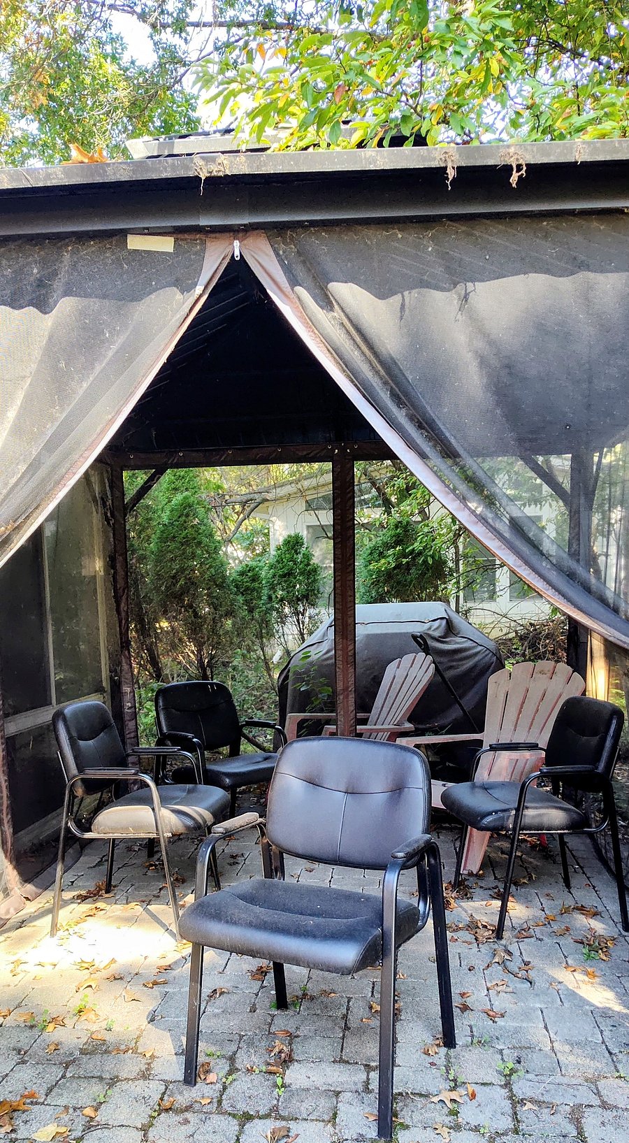 Furnished Finder property 1047181_1 photo 13