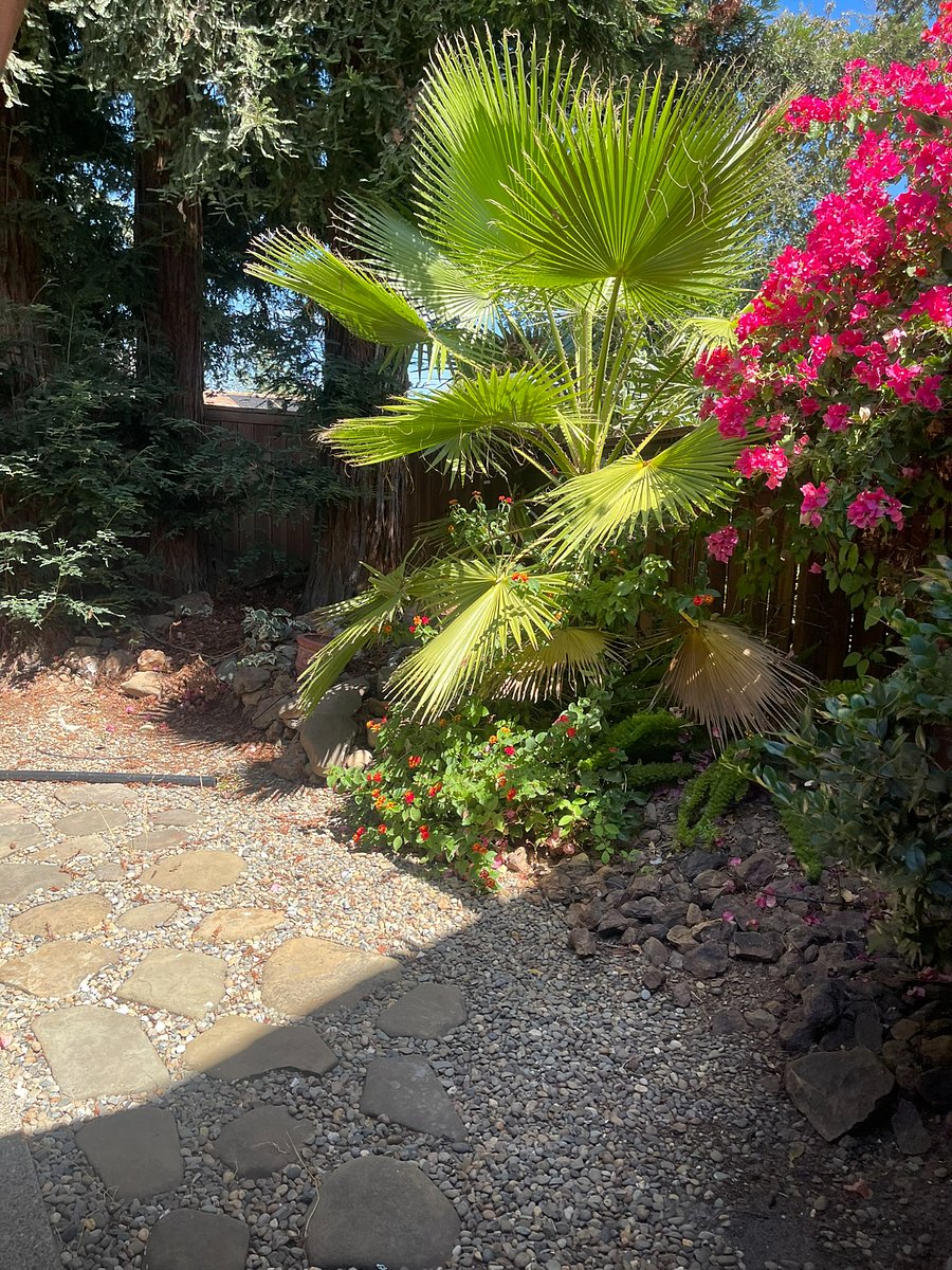 Furnished Finder property 1047262_1 photo 35