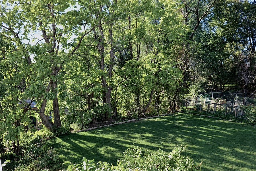 Furnished Finder property 1047316_1 photo 24