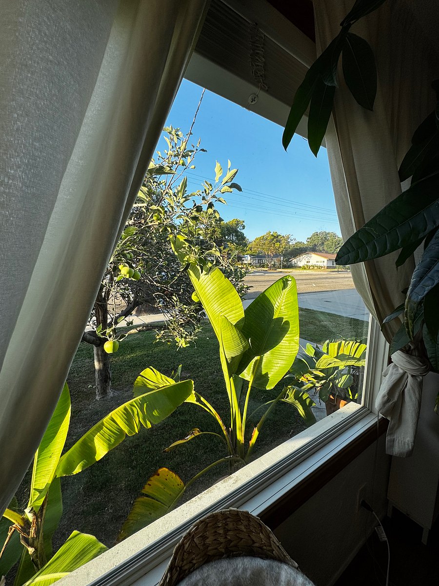 Furnished Finder property 1047406_1 photo 10