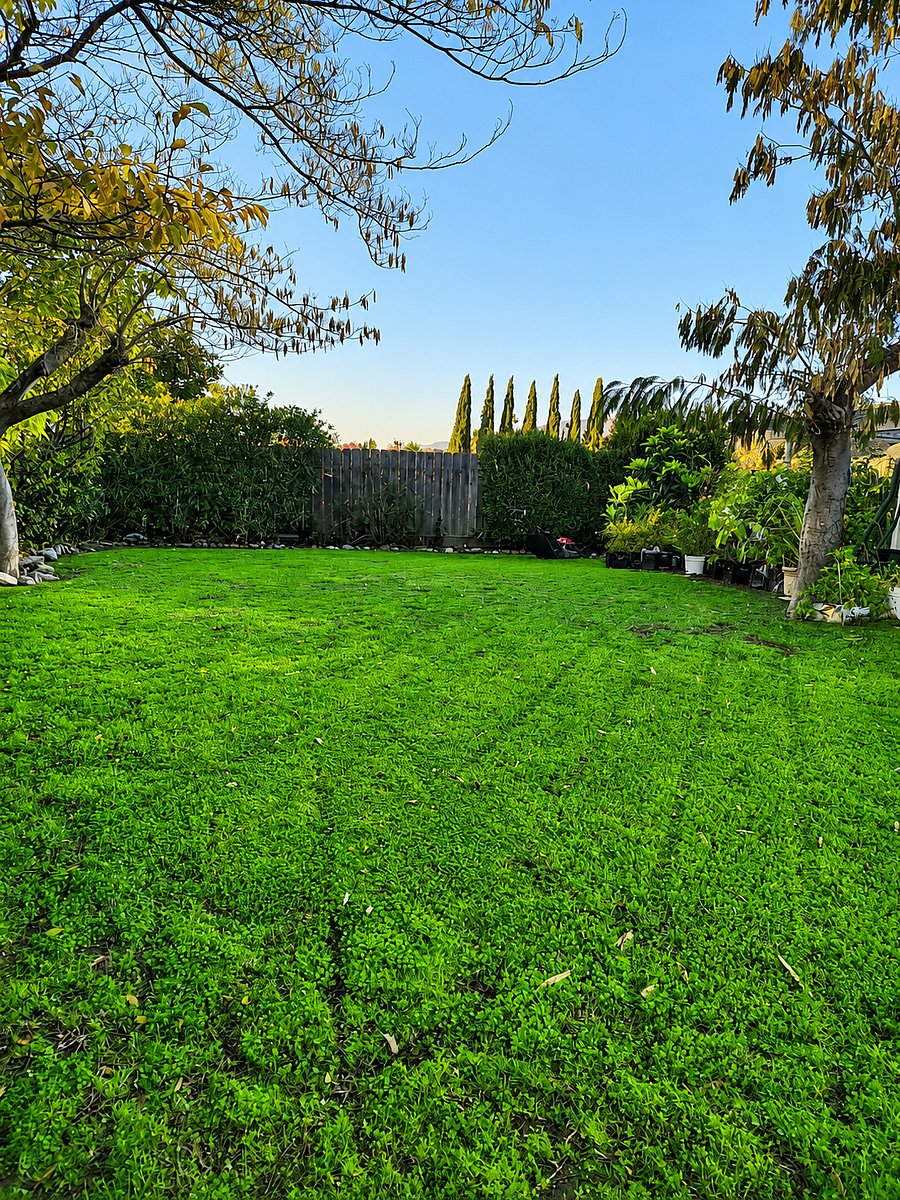 Furnished Finder property 1047432_1 photo 8