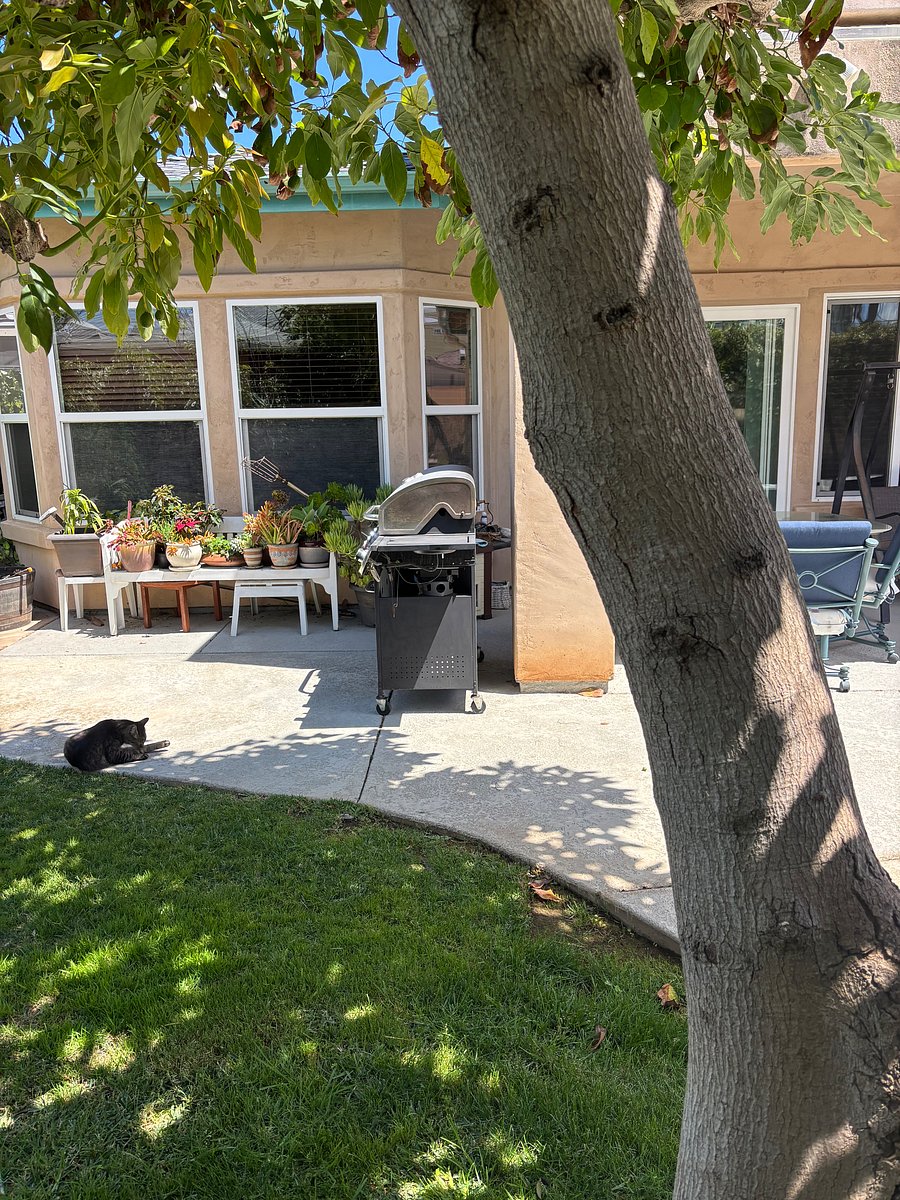 Furnished Finder property 1047475_1 photo 12