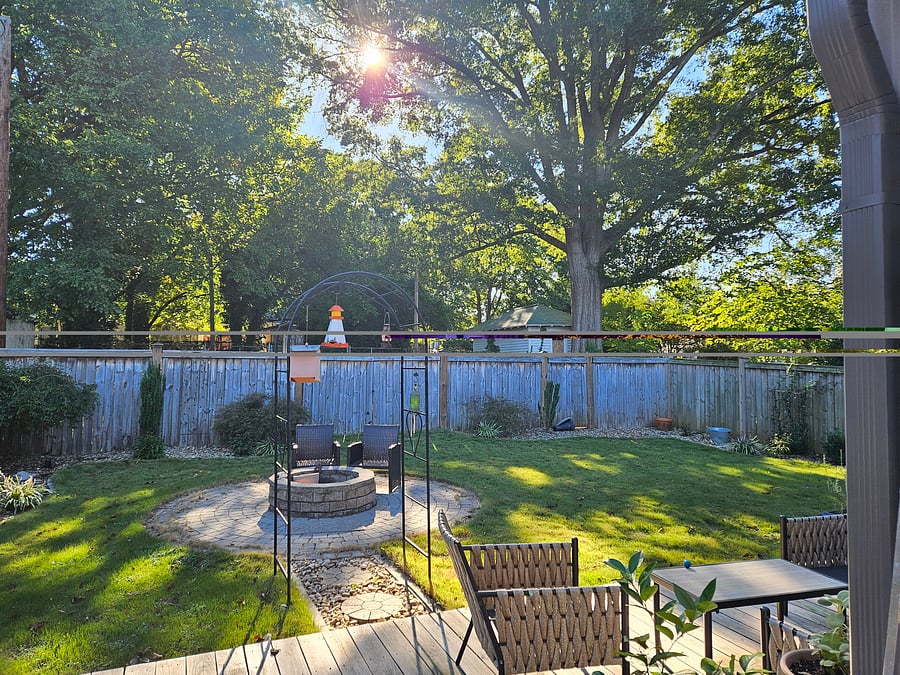 Backyard