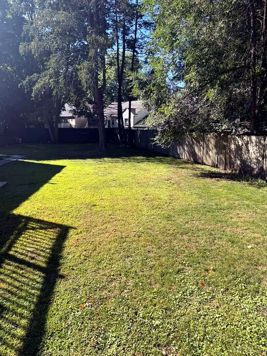 Furnished Finder property 1047586_1 photo 3