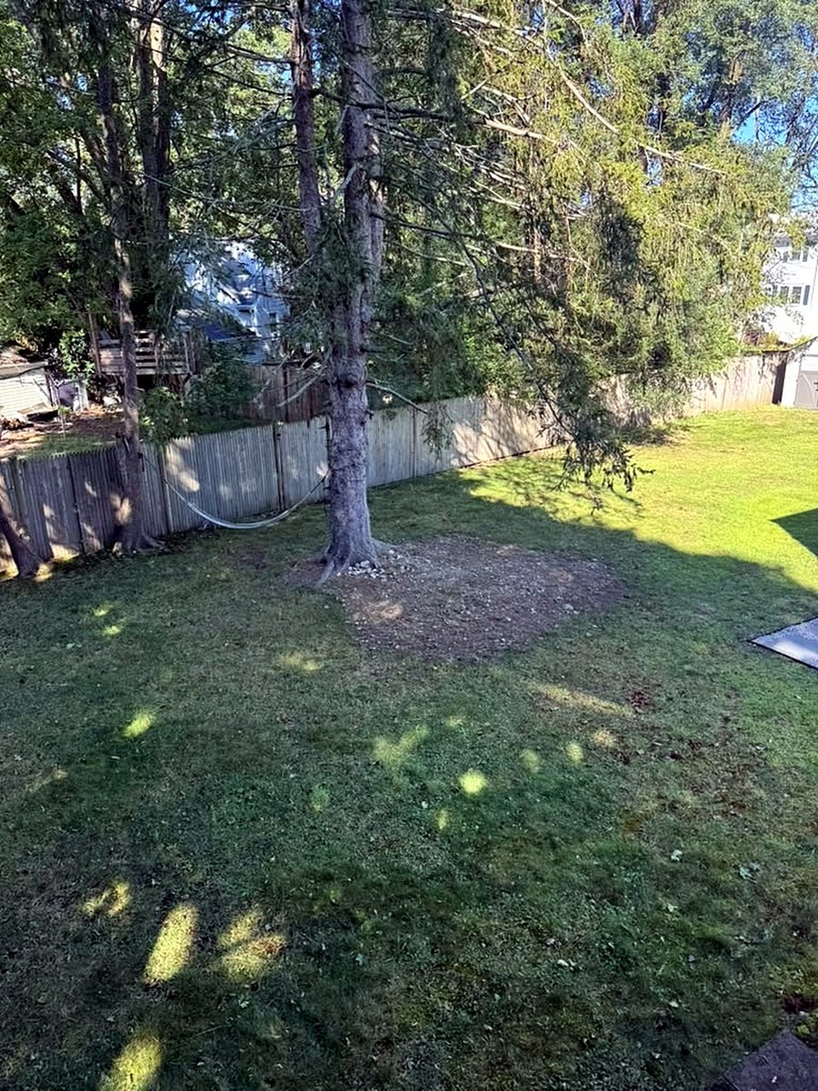 Furnished Finder property 1047586_1 photo 4