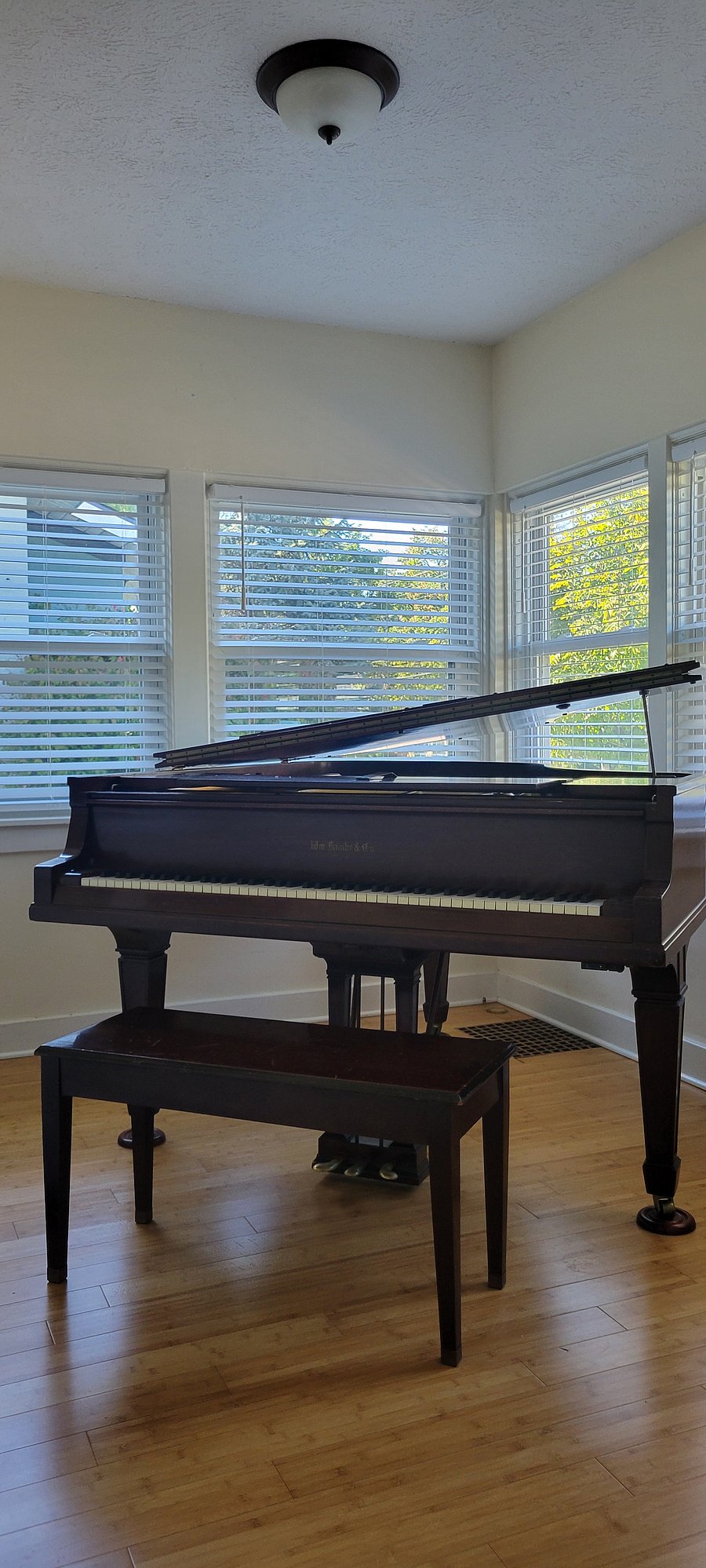 If you play, there's music here.