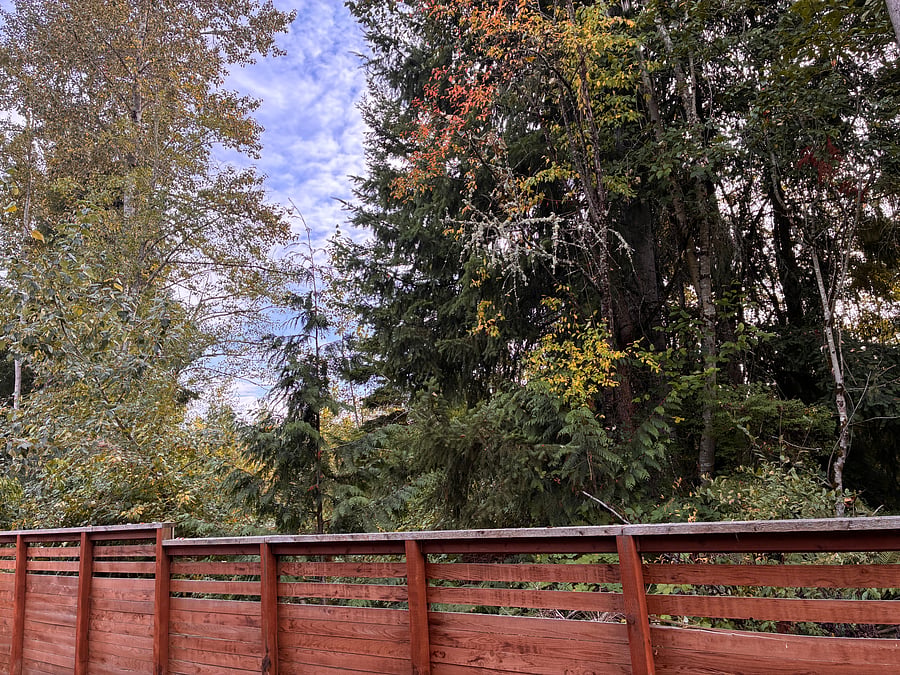 Furnished Finder property 1047678_1 photo 6