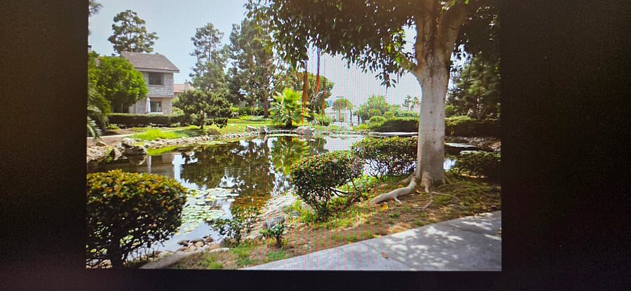 Furnished Finder property 1047937_1 photo 17