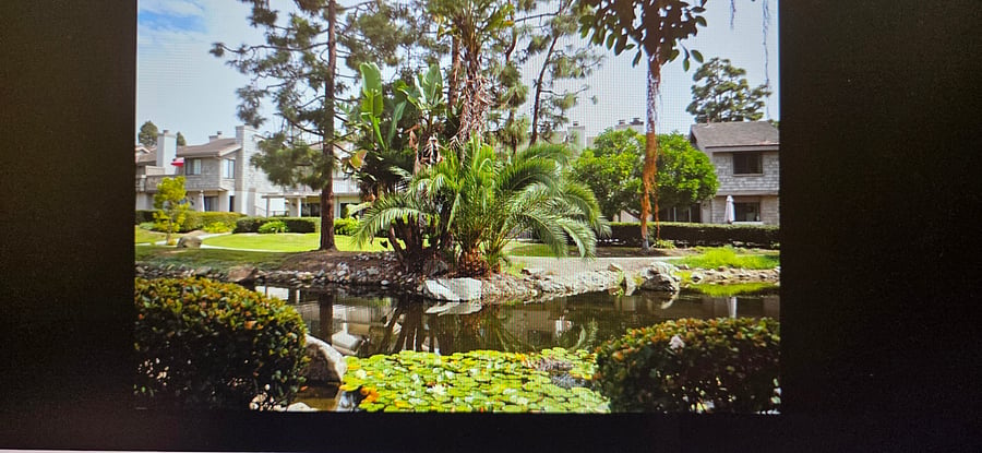 Furnished Finder property 1047937_1 photo 19