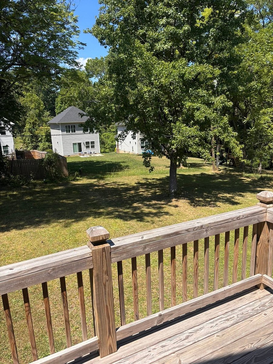 Furnished Finder property 1048044_1 photo 5