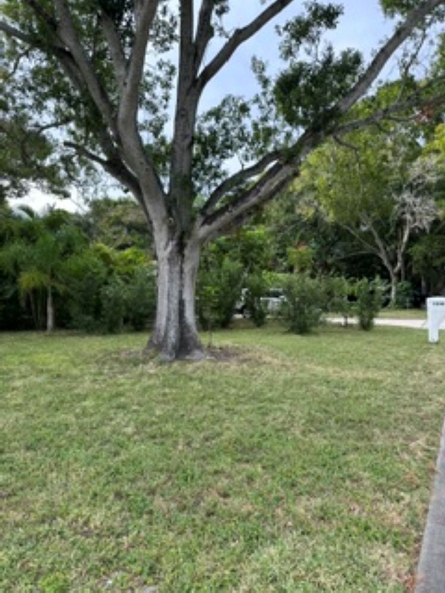 Furnished Finder property 1048182_1 photo 26