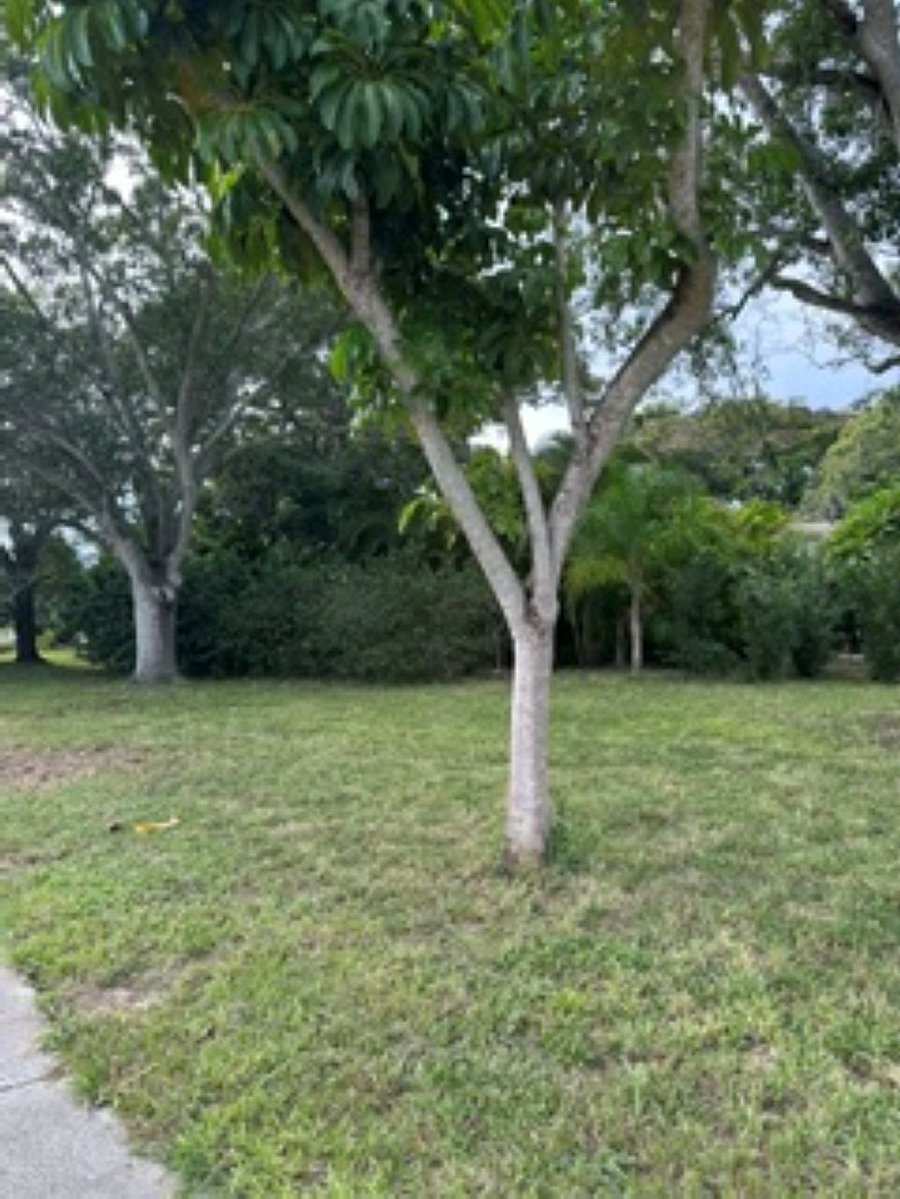 Furnished Finder property 1048182_1 photo 24