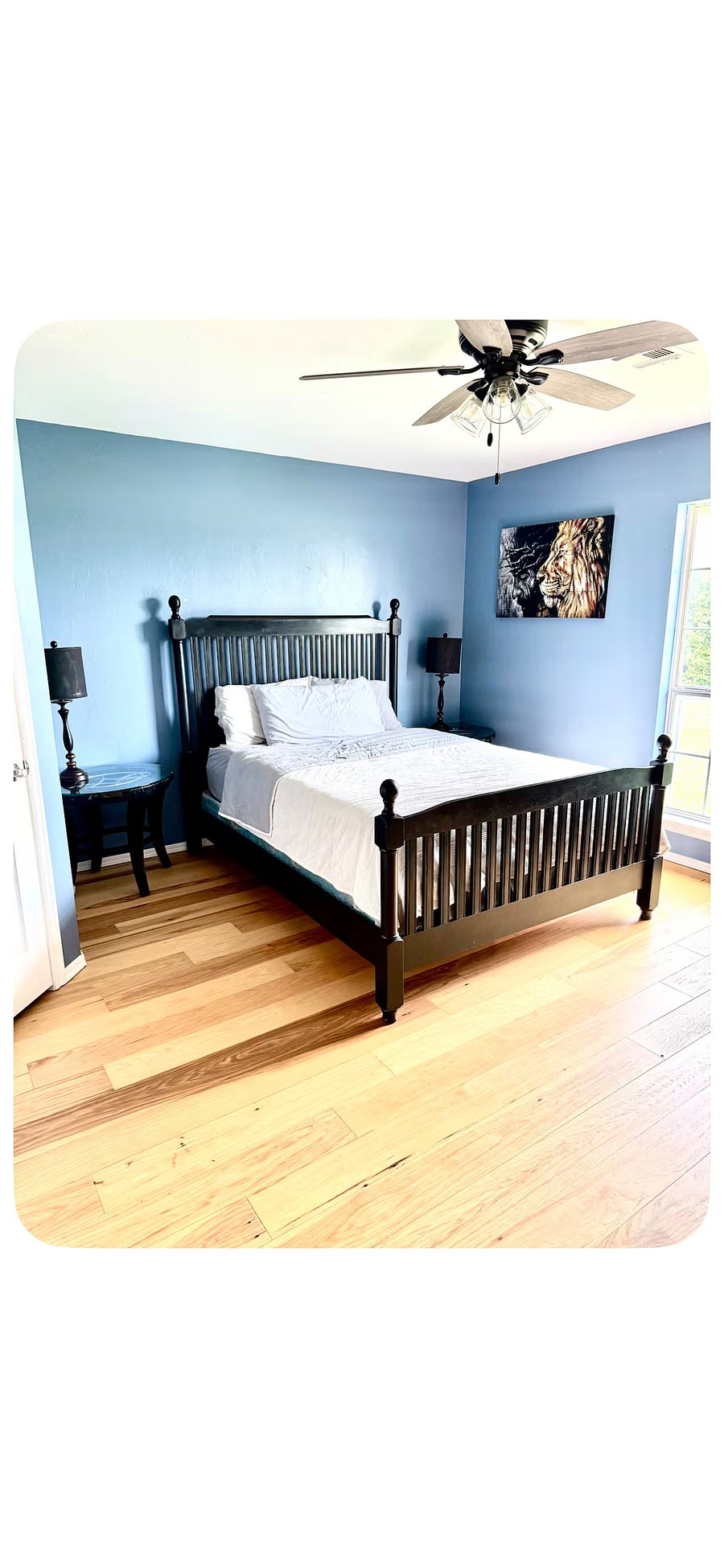 Furnished Finder property 1048229_1 photo 7