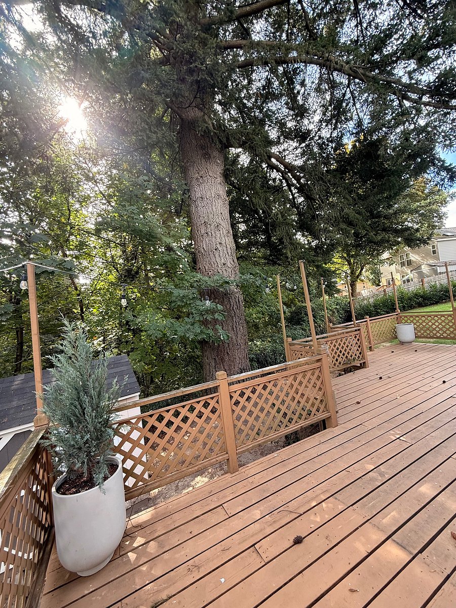 Furnished Finder property 1048347_1 photo 11