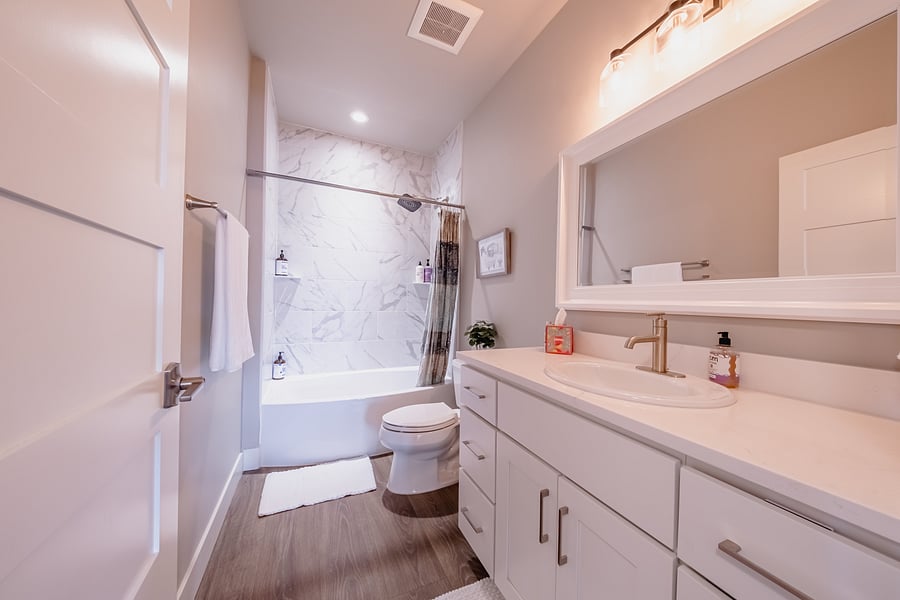 Guest bath with large Roman Bathtub.