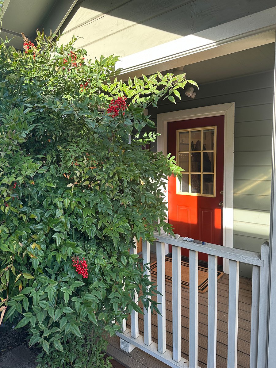 Furnished Finder property 1048428_1 photo 16