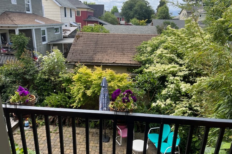 Leafy backyard view from balcony