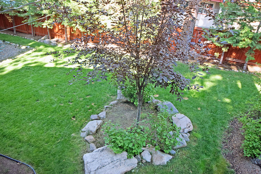 Furnished Finder property 1048503_1 photo 11