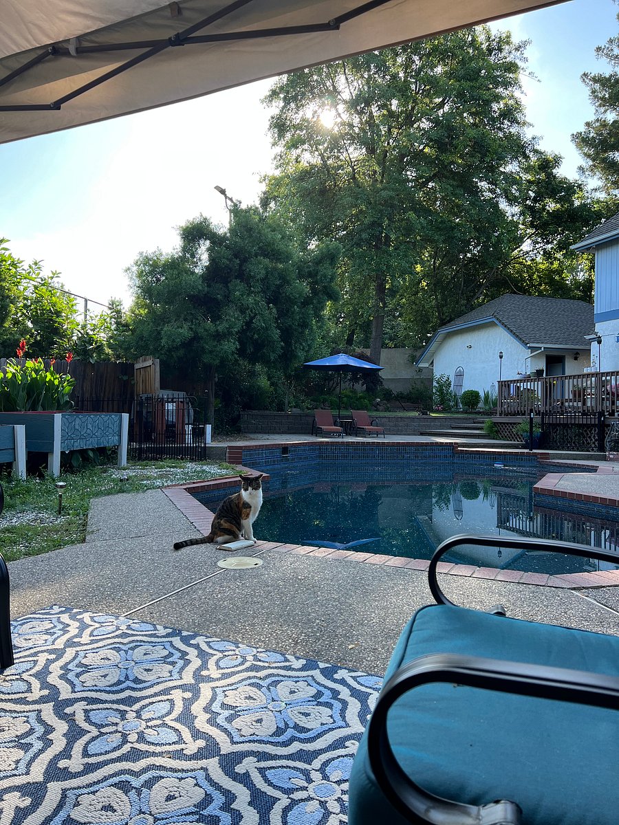 Furnished Finder property 1048678_1 photo 17