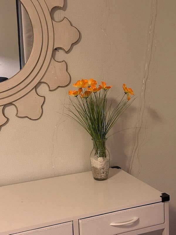 Furnished Finder property 1048749_1 photo 5