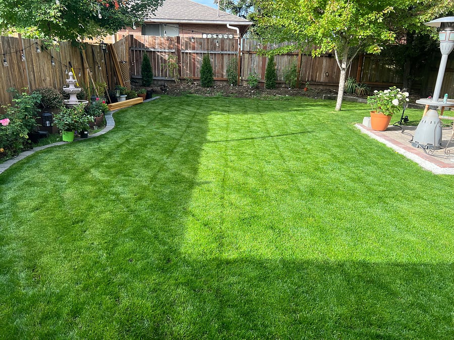Private back yard with patio.