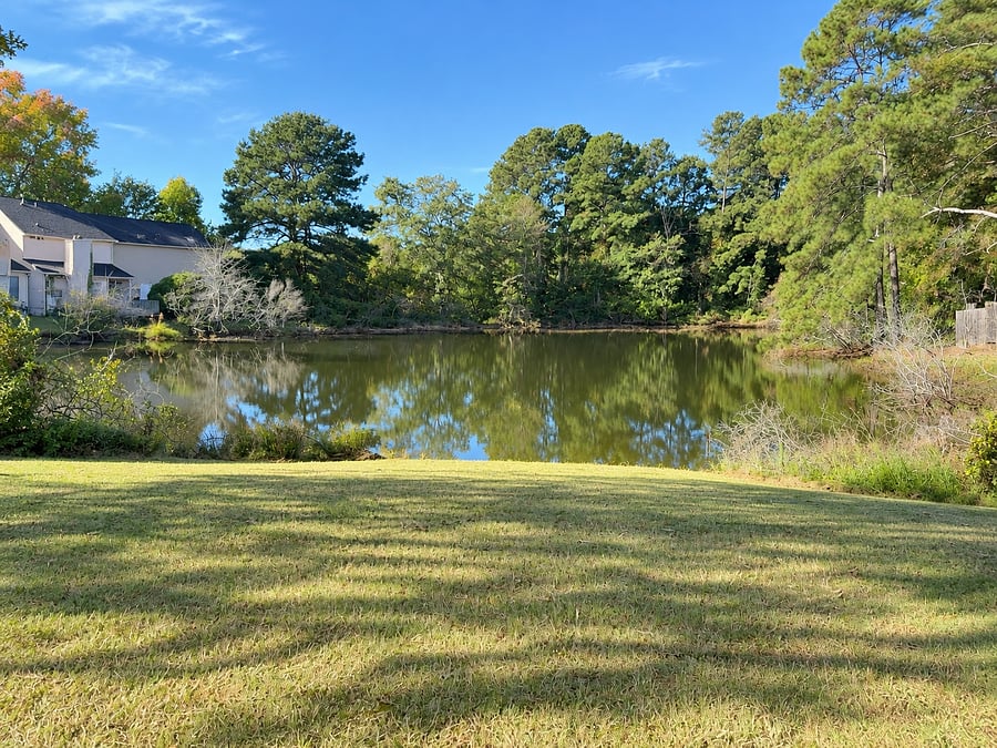 Furnished Finder property 1049012_1 photo 9