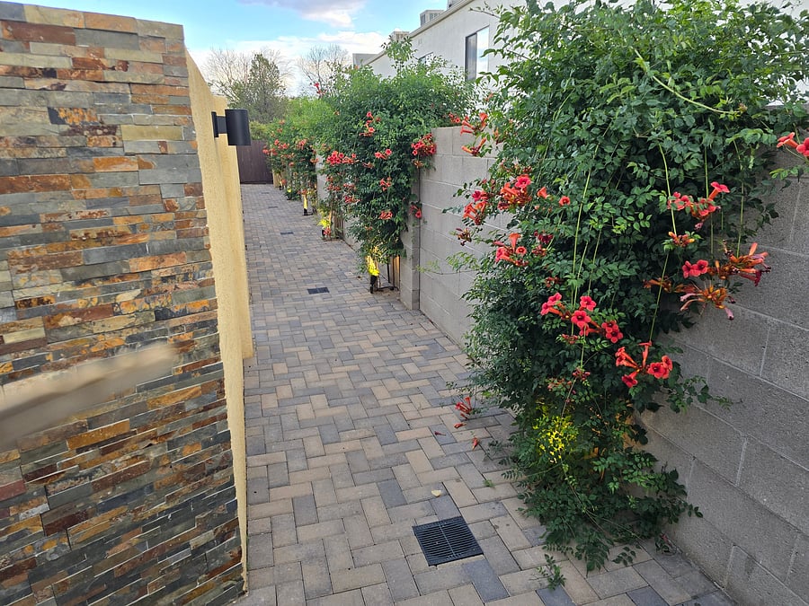 Furnished Finder property 1049300_1 photo 21