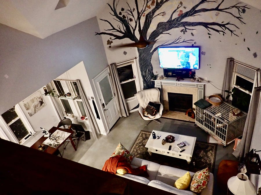 Furnished Finder property 1049316_1 photo 7